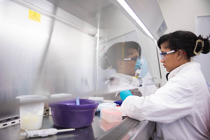 A student works in a chemistry lab under a hood.