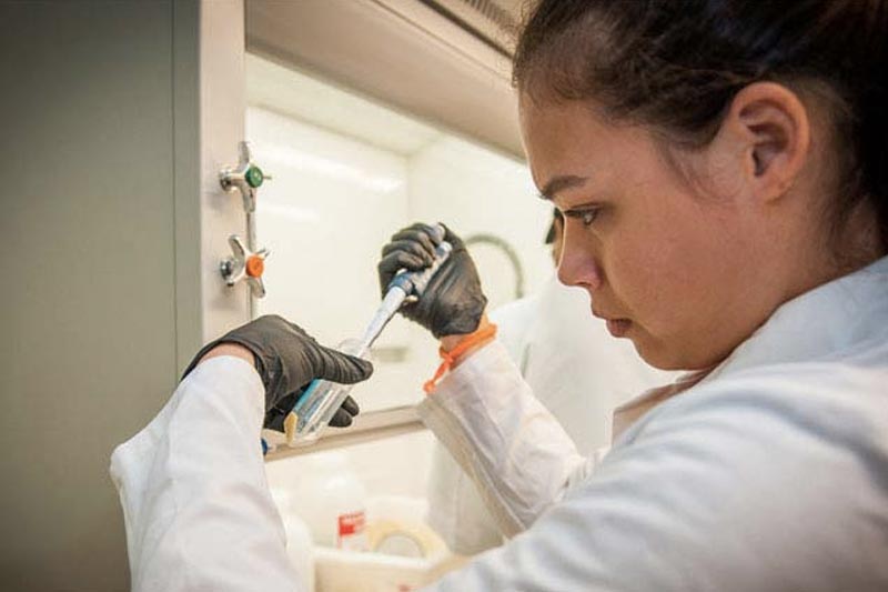 A student does biology work in a lab.