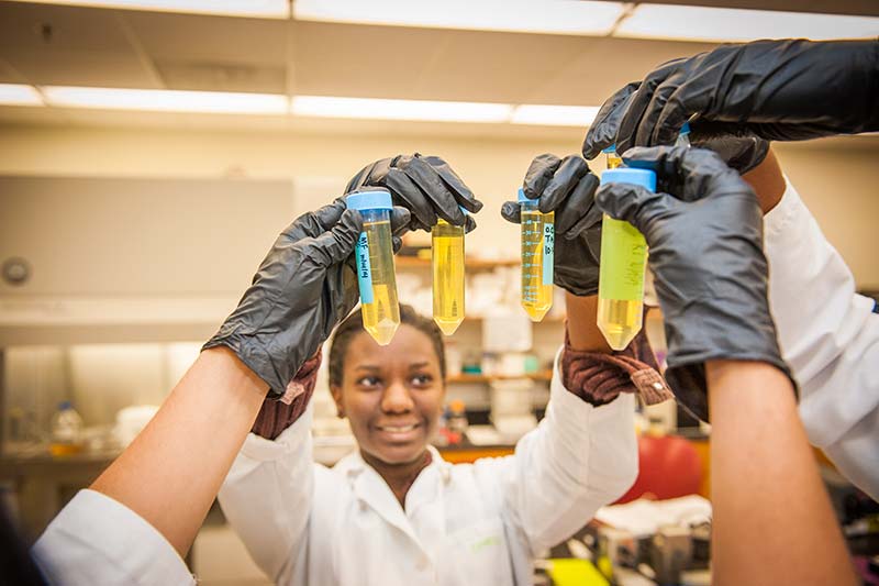 Students in lab coats and gloves hold up vials of a substance.