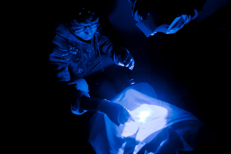 CSI review a scene with a blue light.