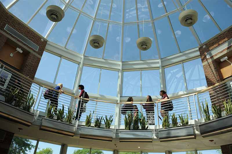 Five students hanging out on the second floor of SMB against the skylight.