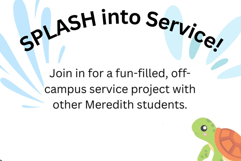 A turtle peeking from the bottom right corner with the text Splash into service surrounded by water droplets.